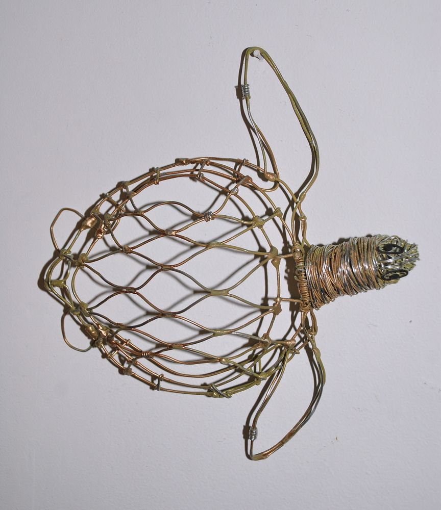 Featured image of post Turtle 3D Wire Sculpture