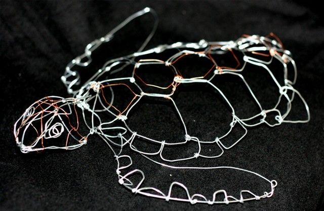 photo Turtle 3D Wire Sculpture