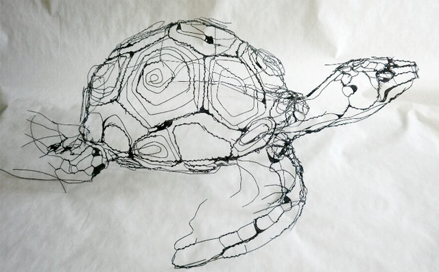 picture Turtle 3D Wire Sculpture