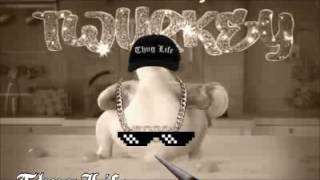 picture Twerking Turkey Song Missy Elliott