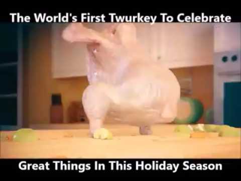 pic Twerking Turkey Song Missy Elliott